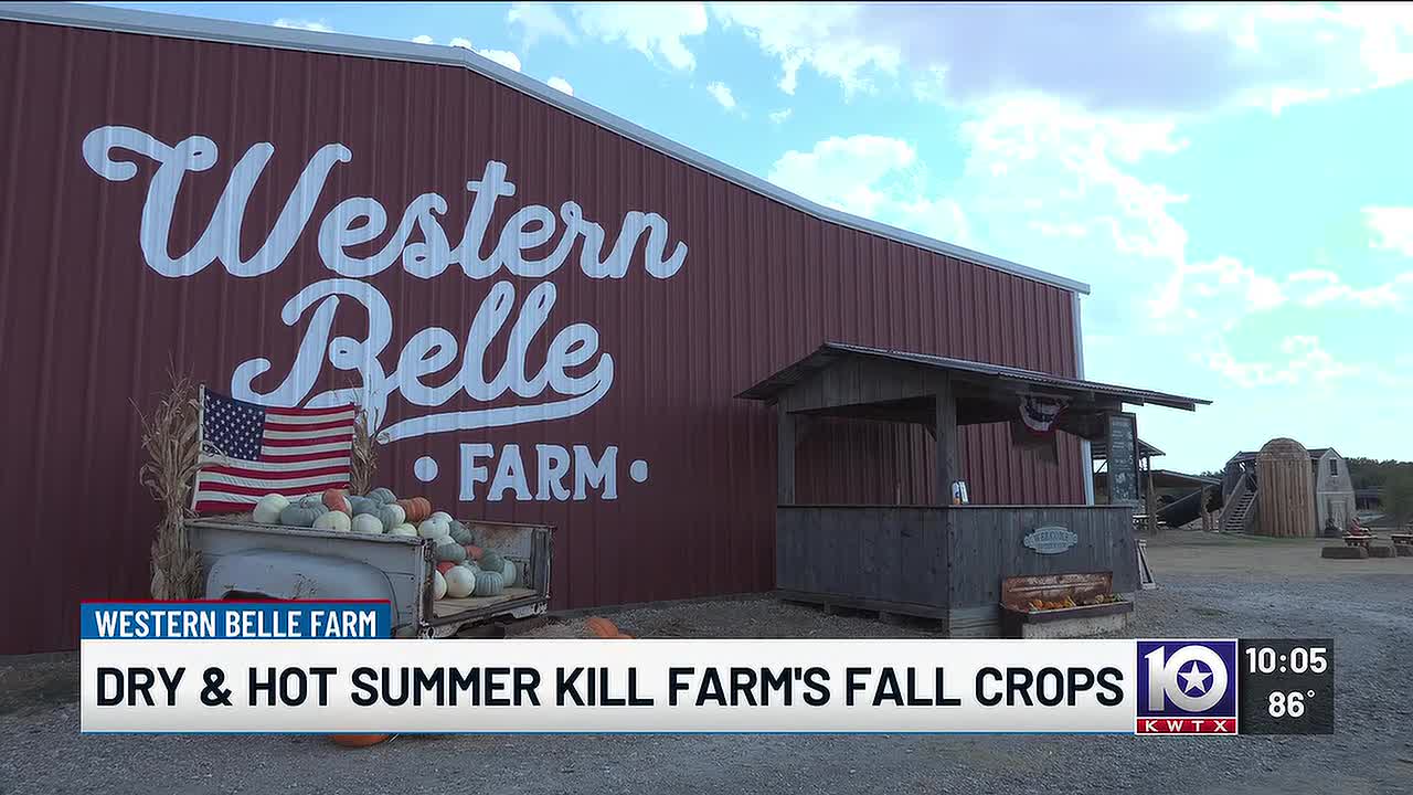 Western Belle Farm Adapts Fall Season After Crop Loss Due to Drought
