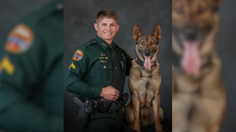 Marion County Sheriff's Office K-9 Leo died after he was shot by a suspect while working. He...
