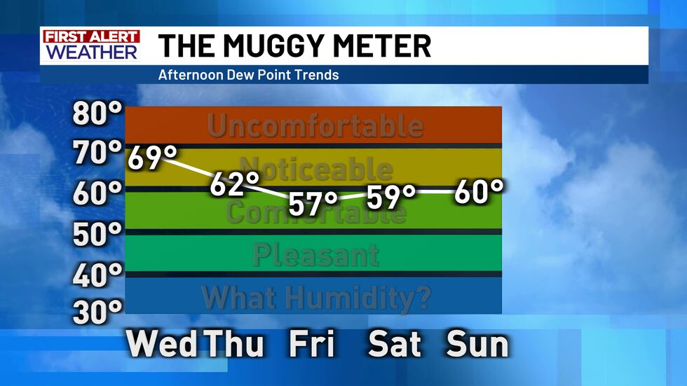 Muggy Meter