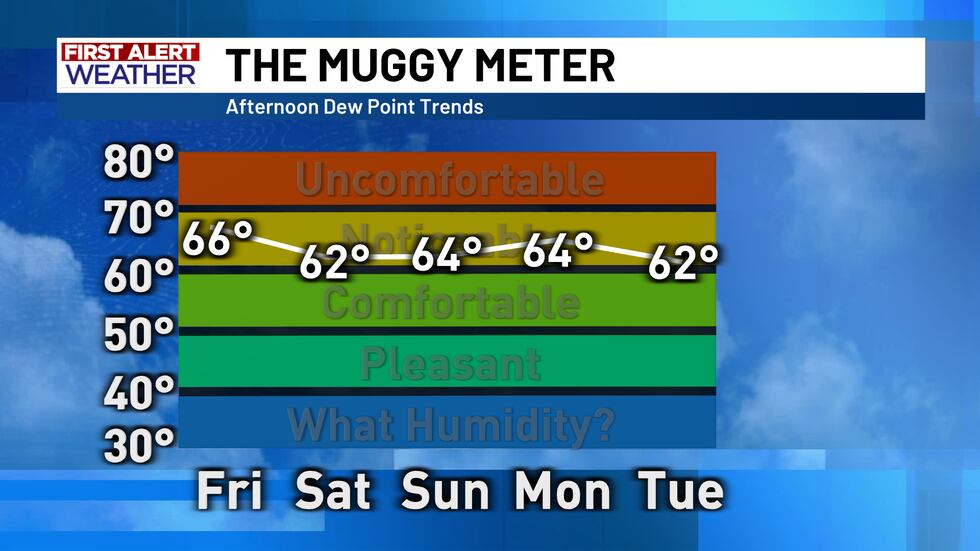 Muggy Meter
