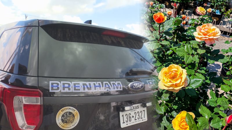 The Brenham Police Department began investigating reports of a person handing out roses at a...