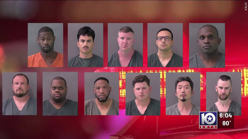 Texas DPS arrested 11 men during an undercover sting targeting men who solicit children online...