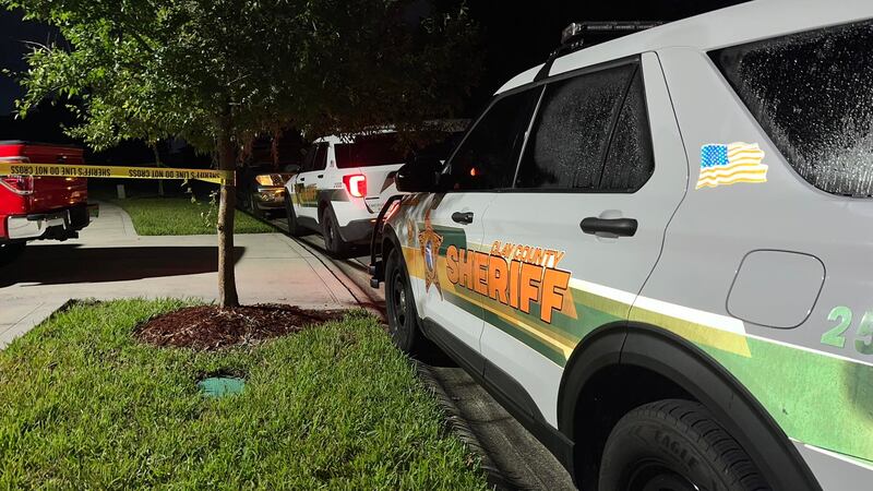 In a news conference, Clay County Sheriff Michelle Cook said the parents were found dead from...