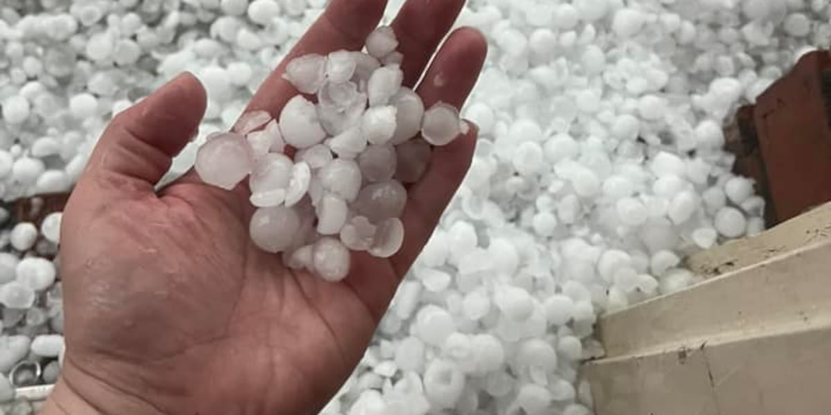 Three Inch Hail Bell county hit with up to 3 inch hail