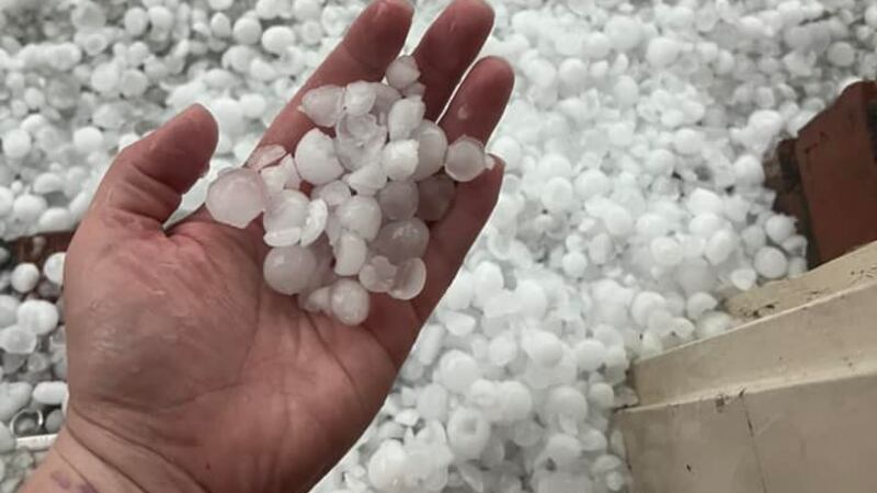 Hail State Bell Bell county hit with up to 3 inch hail