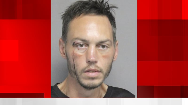 Mackenzie Switzer, 36, is accused of driving a stolen car from New Orleans to Kenner then...