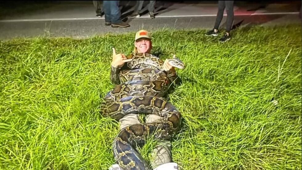Caught on camera: 18-year-old wrangles massive python