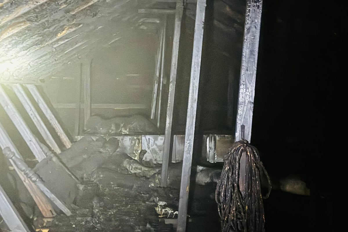 preloaded gallery image