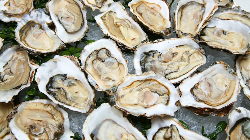 FILE -- raw oysters.