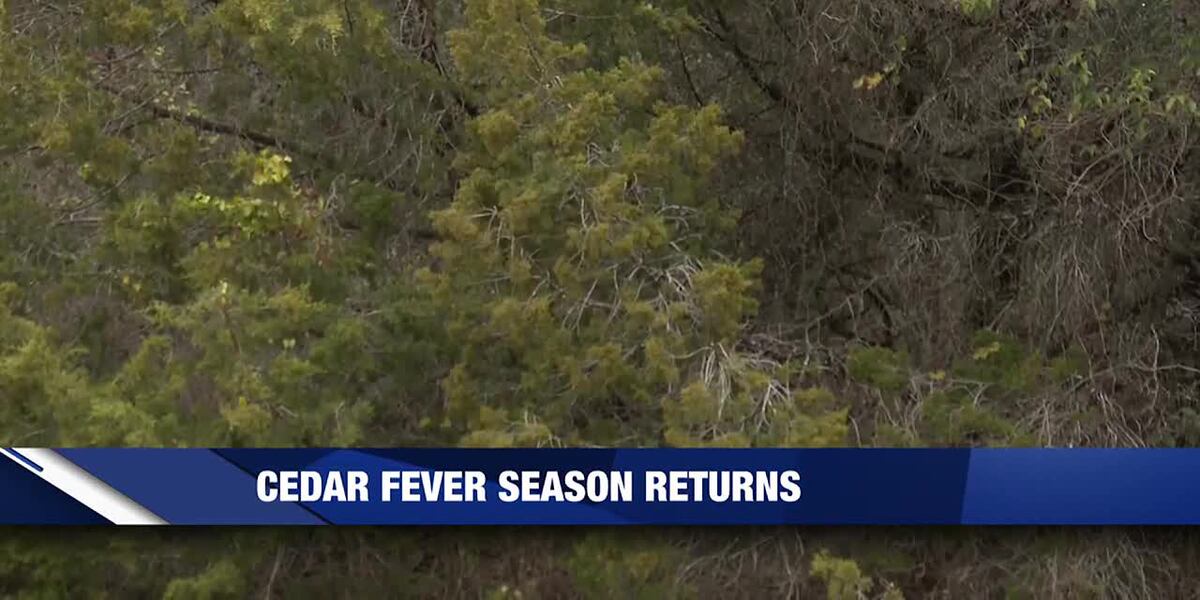 ‘Cedar Fever’ season returns to Central Texas