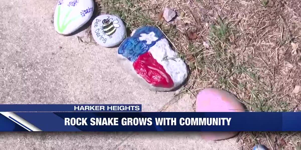 Twins spark joy throughout the community with ‘Rocksee’ the rock snake