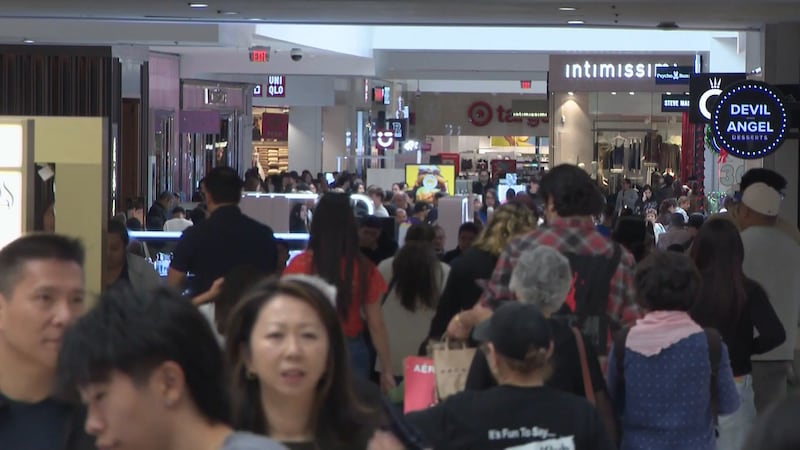 Nearly half of Americans expect holiday debt; experts urge careful budgeting, tracking...