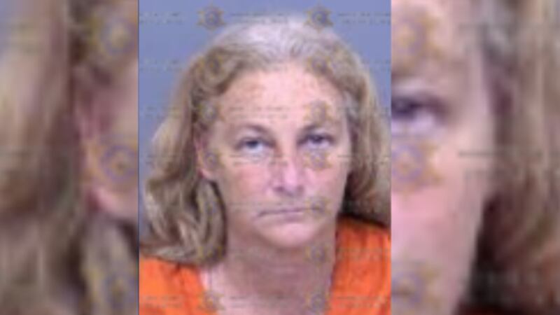 A woman in Arizona stabbed her husband on Thanksgiving, according to police.