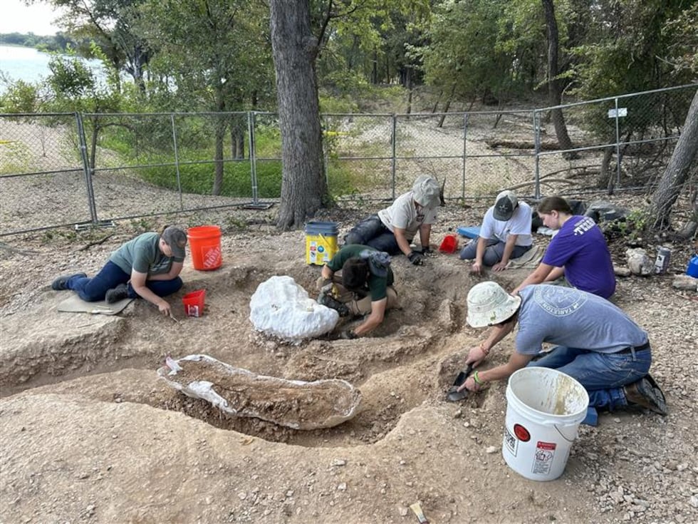 Crews work to excavate mammoth fossils found in Central Texas