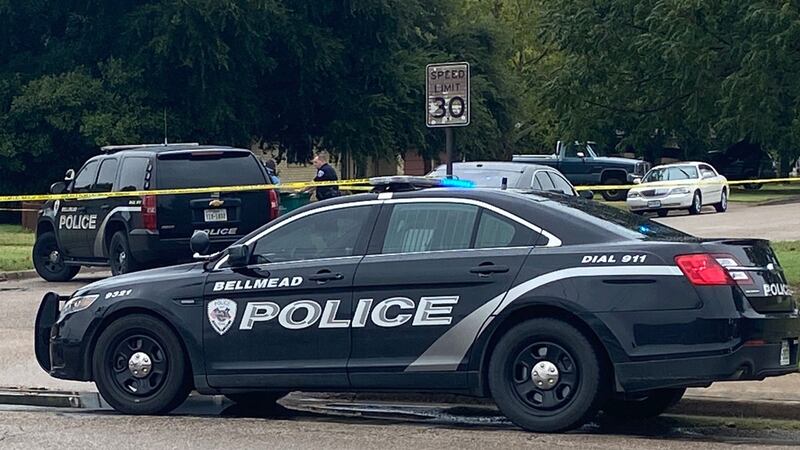 One teenager was shot and a second suffered flash burns in a struggle for a gun during a child...