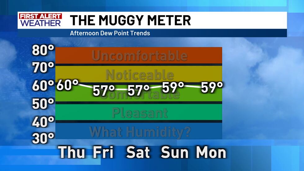 Muggy Meter