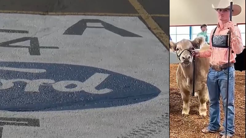 Adam Massman's teammates create tribute at Lincoln High School, painting the letters “LLA” for...