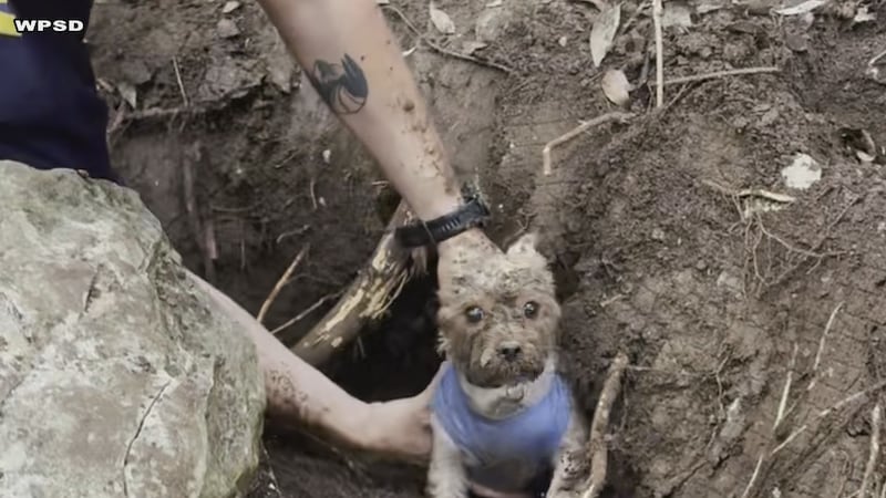 Woodway first responders rescue dog stuck underground after armadillo chase