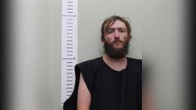 Police say 28-year-old Steven Robertson was arrested for allegedly injuring two horses and...