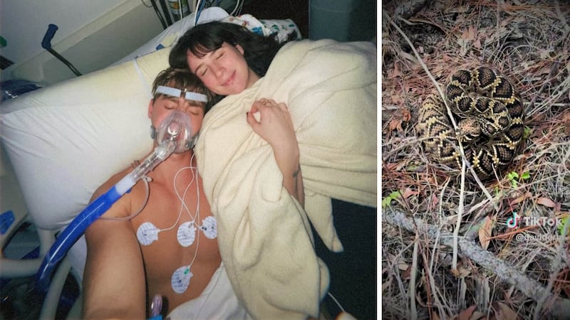 David Humphlett recovers in the hospital with his wife, Emma Rynear, after being bitten by a...