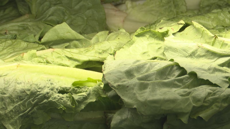 Texas food recalls slow in 2026 despite cyclospora and salmonella outbreaks
