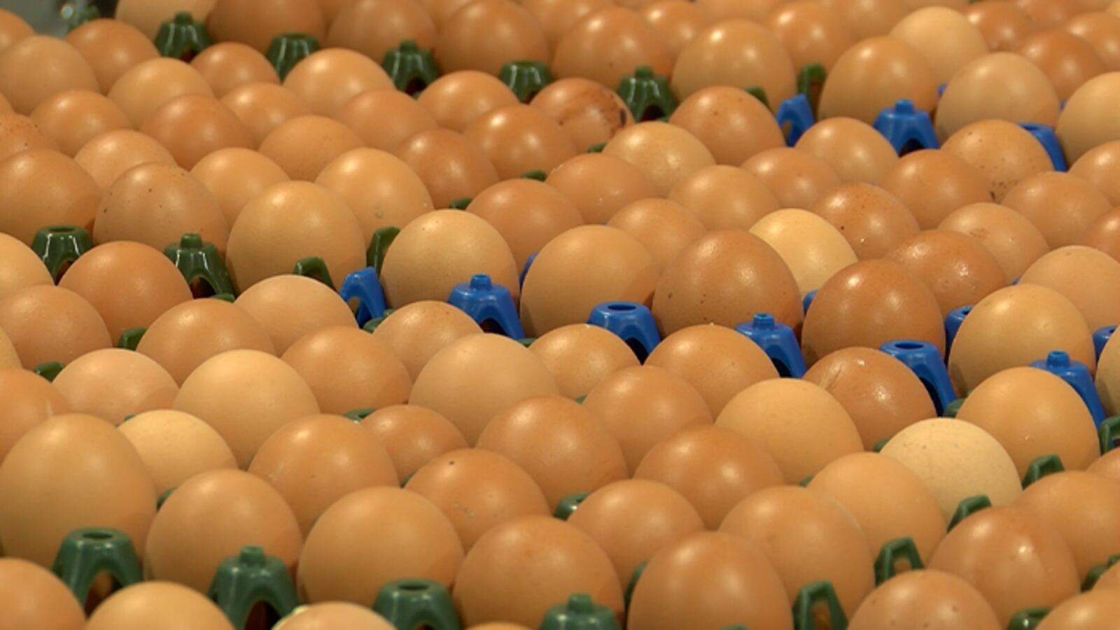 Eggs are getting scarcer and pricier ahead of the holidays. Here’s why.