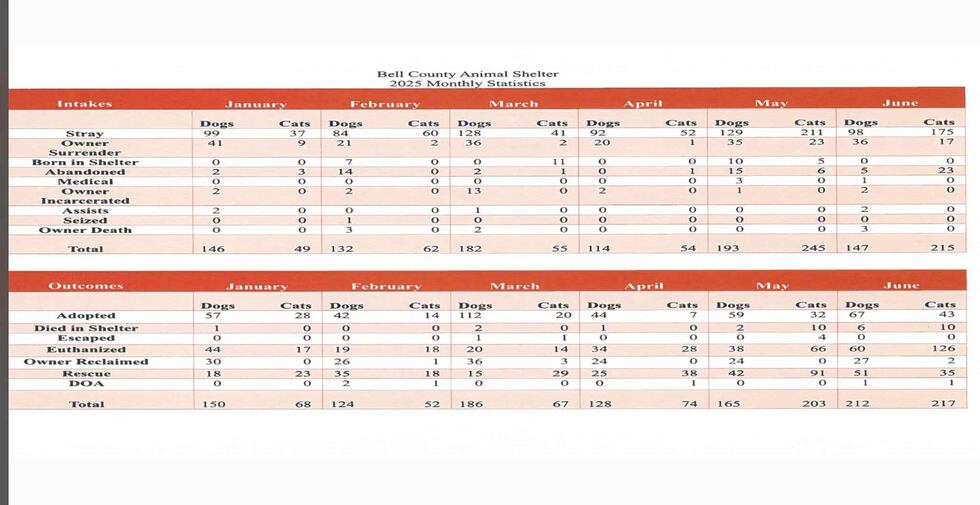 Over 600 animals euthanized in Bell County, officials push for no-kill animal shelter