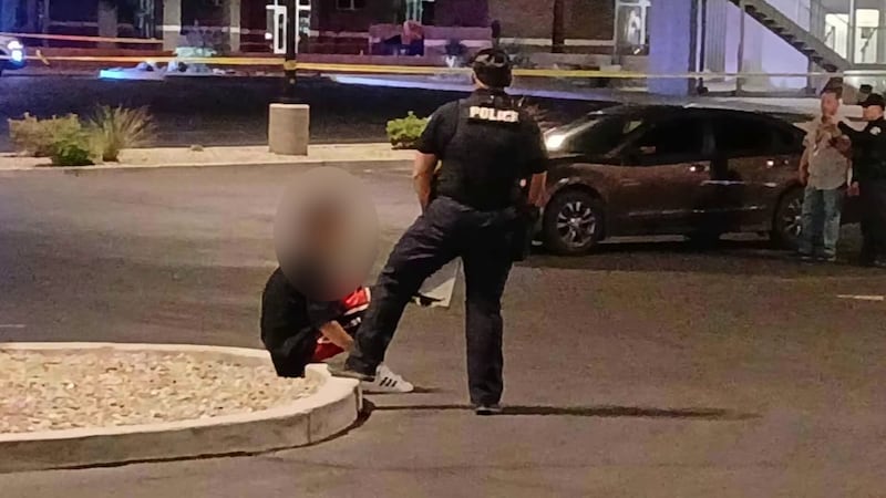 Police say a 19-year-old man ran over and killed his 17-year-old brother in a road rage incident.