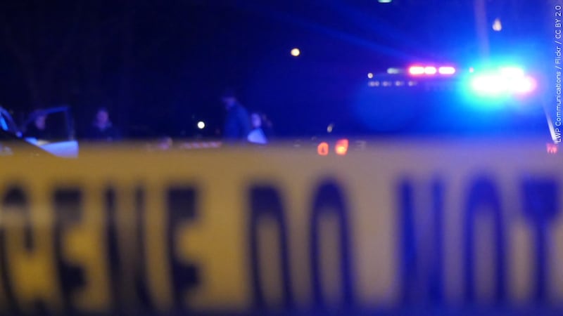 74-year-old woman dies after being hit by boat