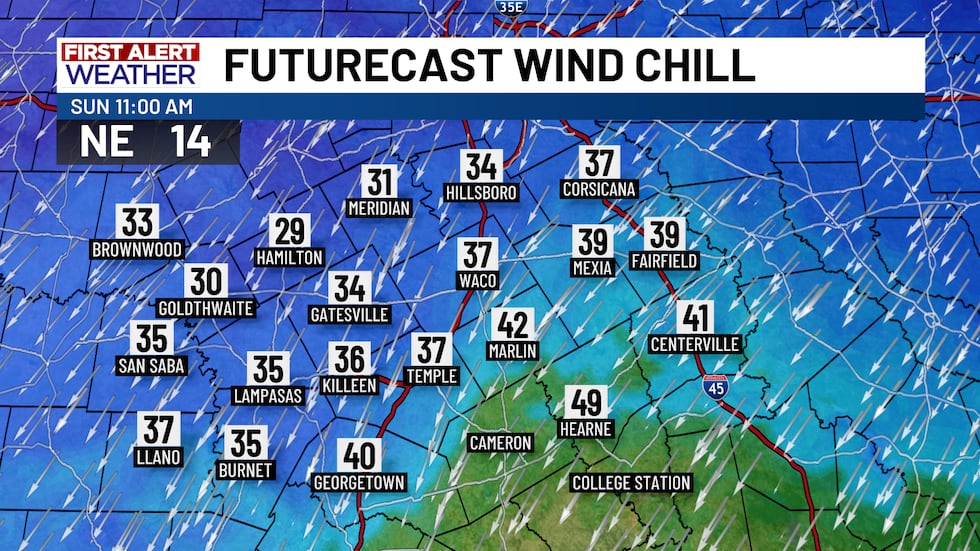 North winds will gust as high as 25 to 30 MPH Sunday so wind chills will be noticeable....
