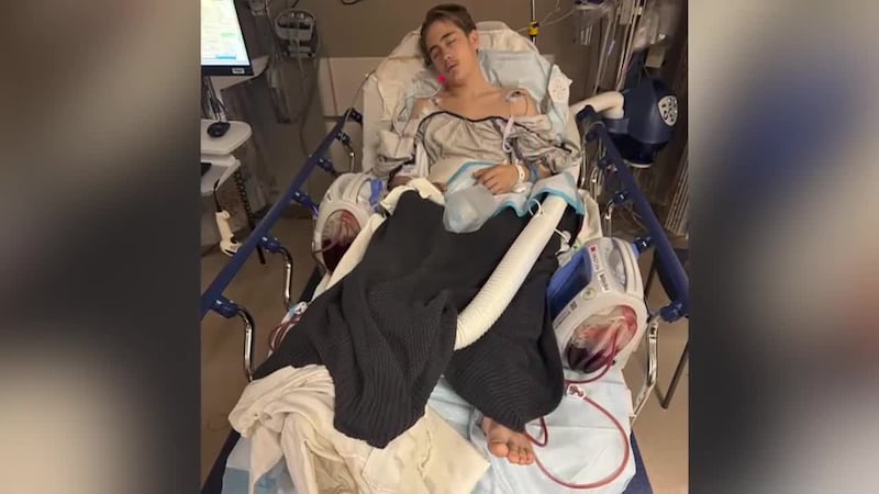 After stopping to help a stranded driver on Christmas Eve, the teenager was struck by another...