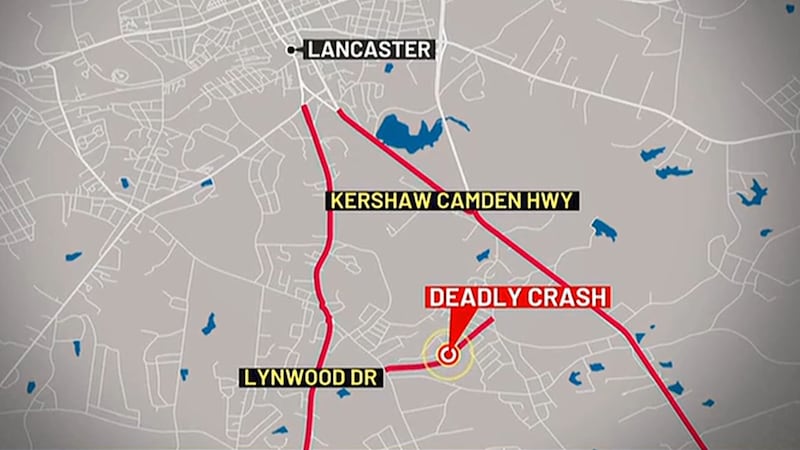 The deadly collision happened around 5:35 p.m. on Wednesday, Aug. 26, along Pineview Drive.