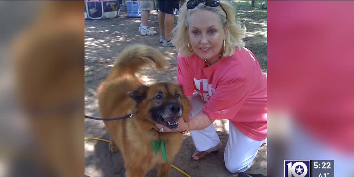 Eeba Rescue Fuzzy Friends Animal Rescue named TFNB charity champion